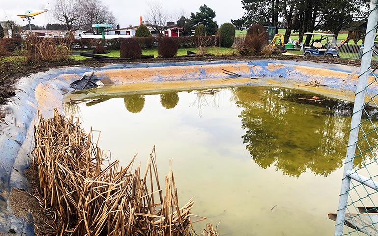 Die Ausgangssituation am Flugplatz Sitterdorf mit Algen und ungefilterten Wasser